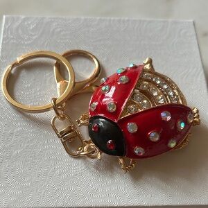 Red Ladybug Keychain
